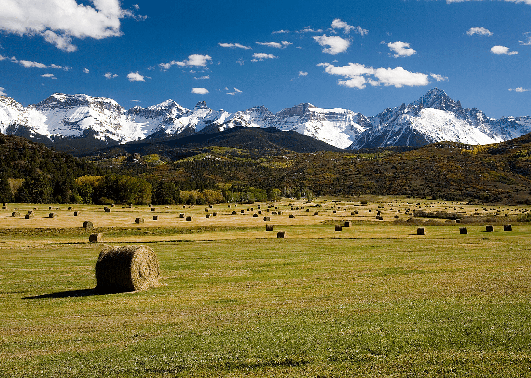 2019: Colorado
