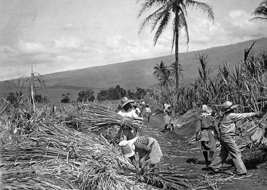 1920: Hawaii