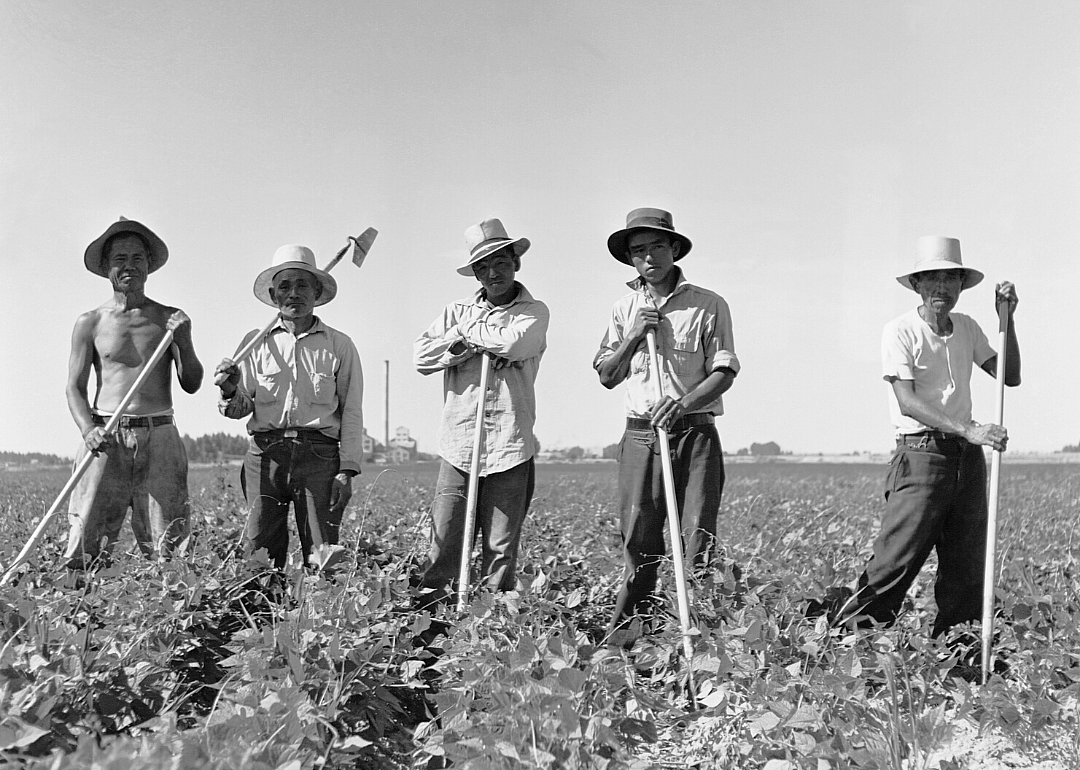 1920: Idaho