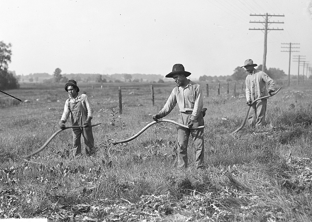 1920: Illinois