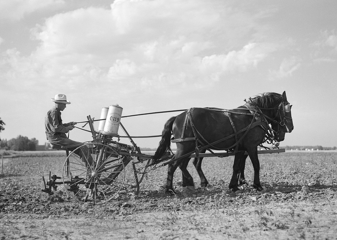 1920: Indiana