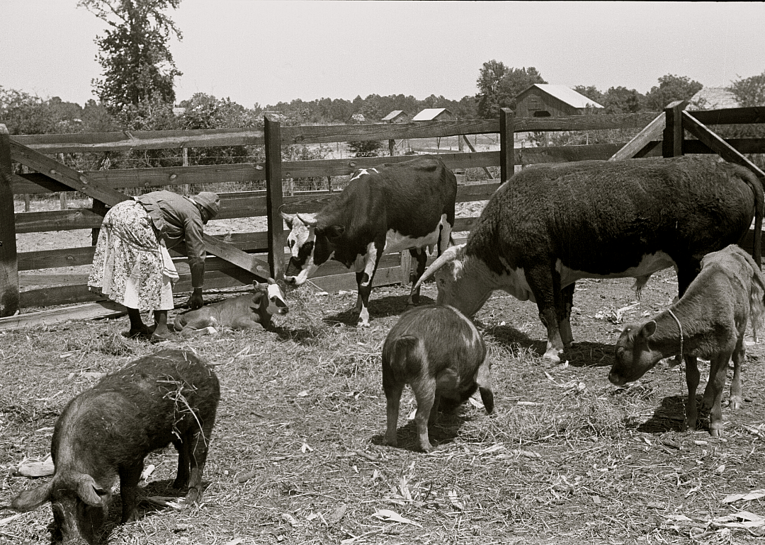 1920: Alabama