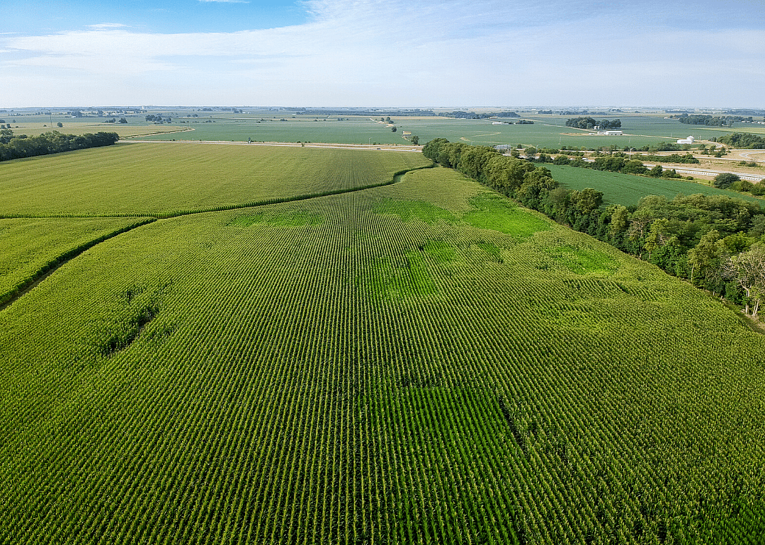 2019: Kansas
