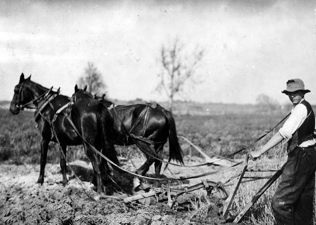 1920: Kentucky