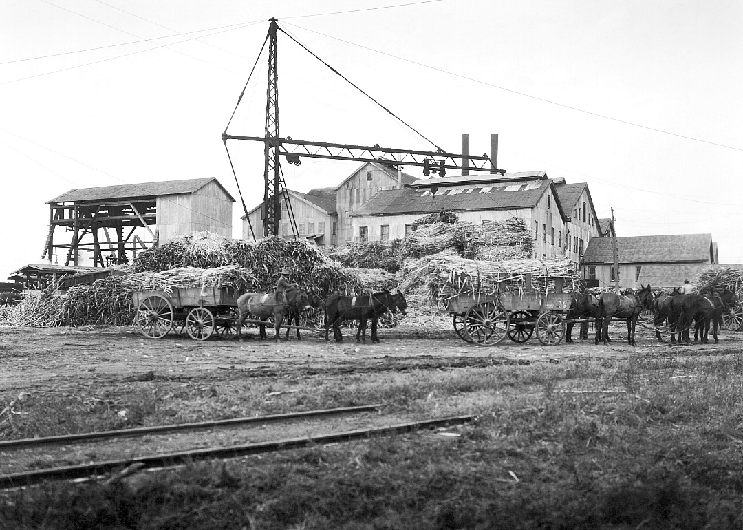 1920: Louisiana