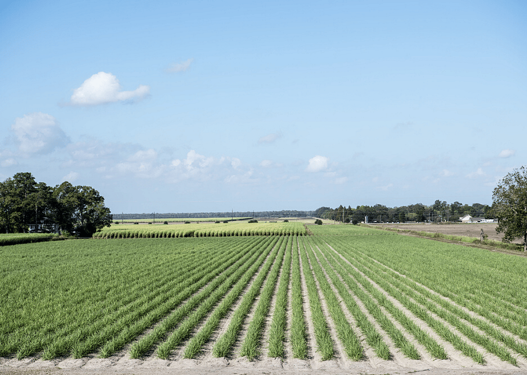 2019: Louisiana