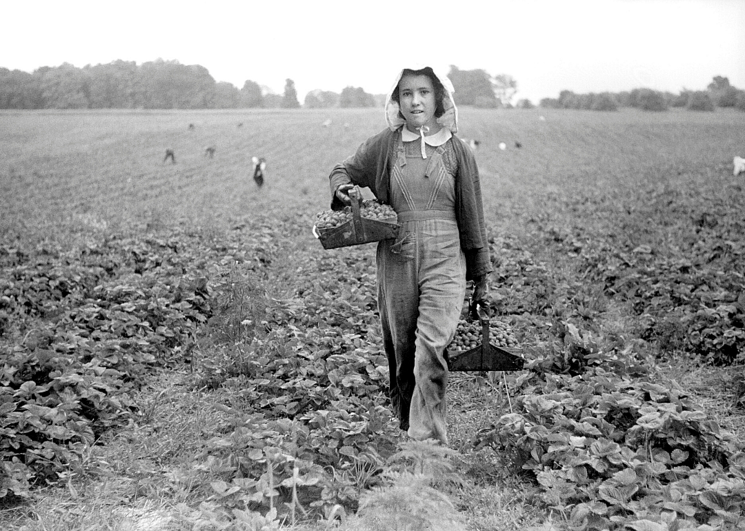 1920: Michigan