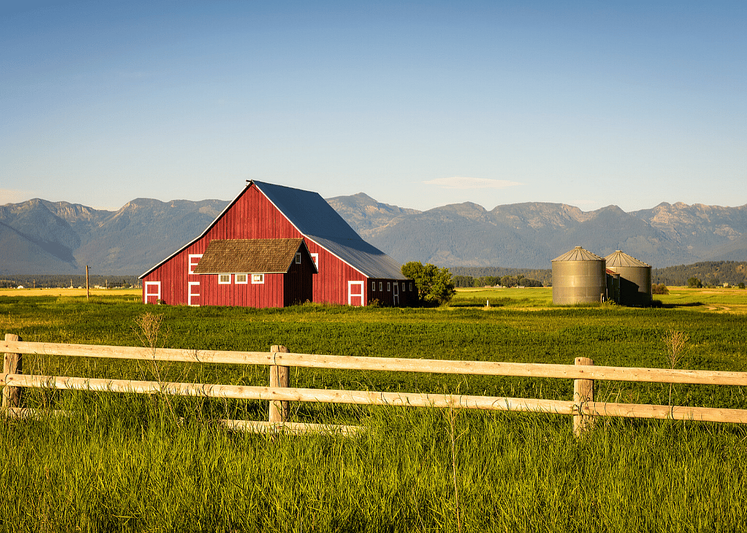 2019: Montana