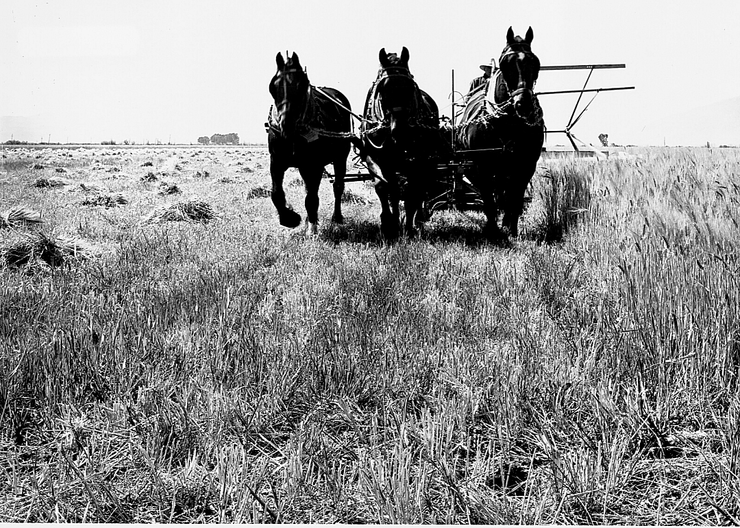 1920: Nevada