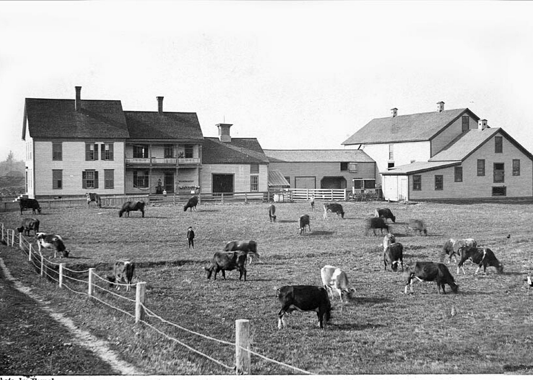 1920: New Hampshire