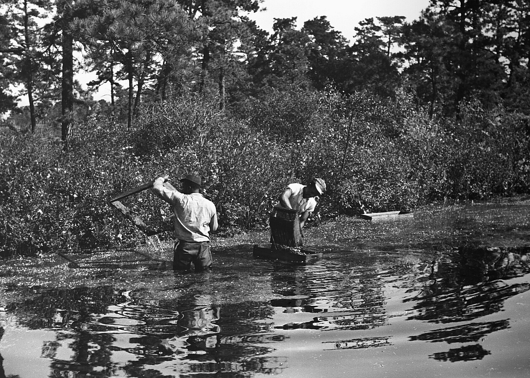 1920: New Jersey