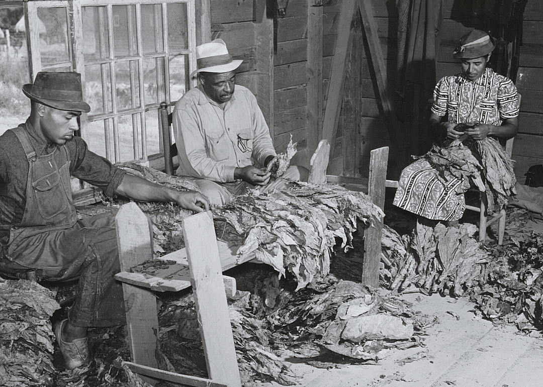 1920: North Carolina