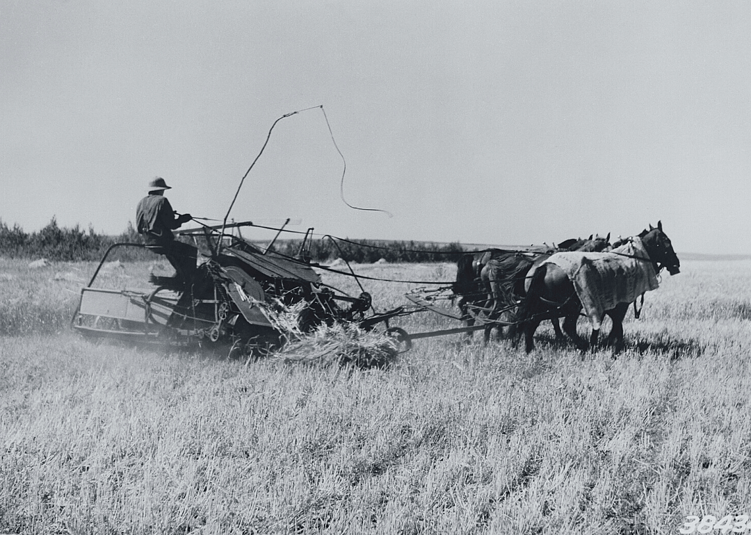 1920: North Dakota