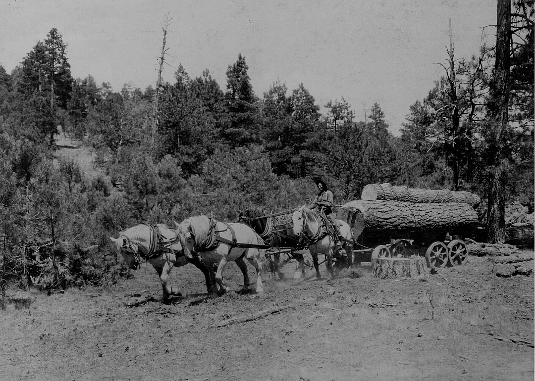1920: Arizona