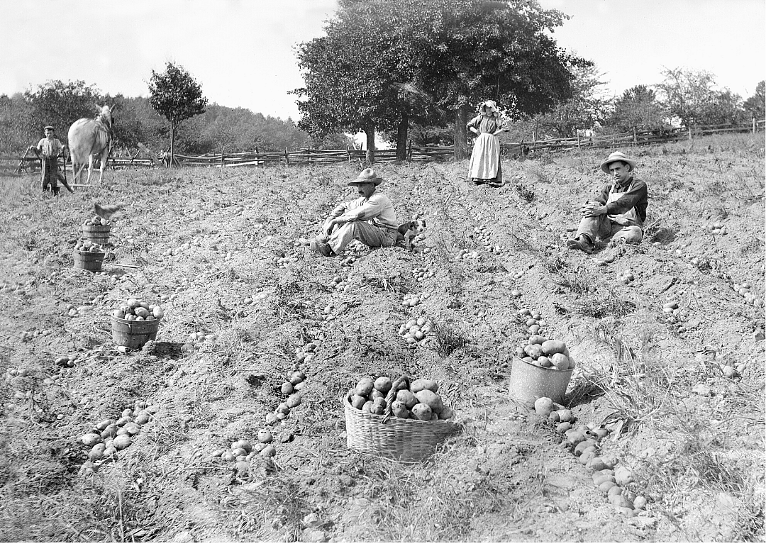 1920: Ohio
