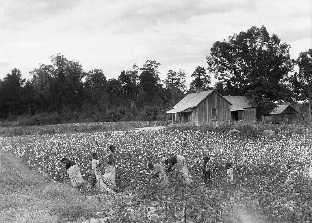 1920: South Carolina