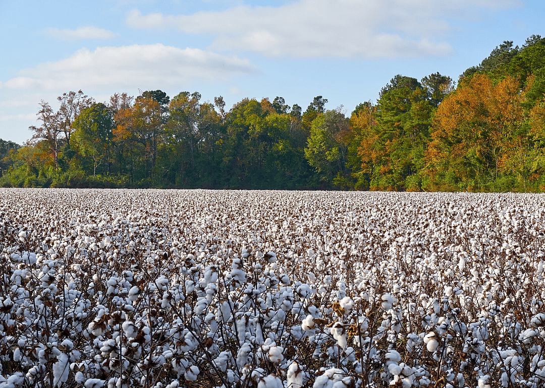 2019: South Carolina