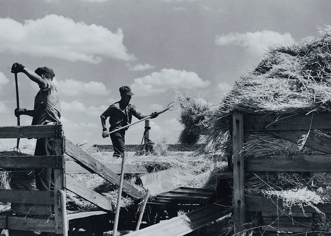 1920: South Dakota