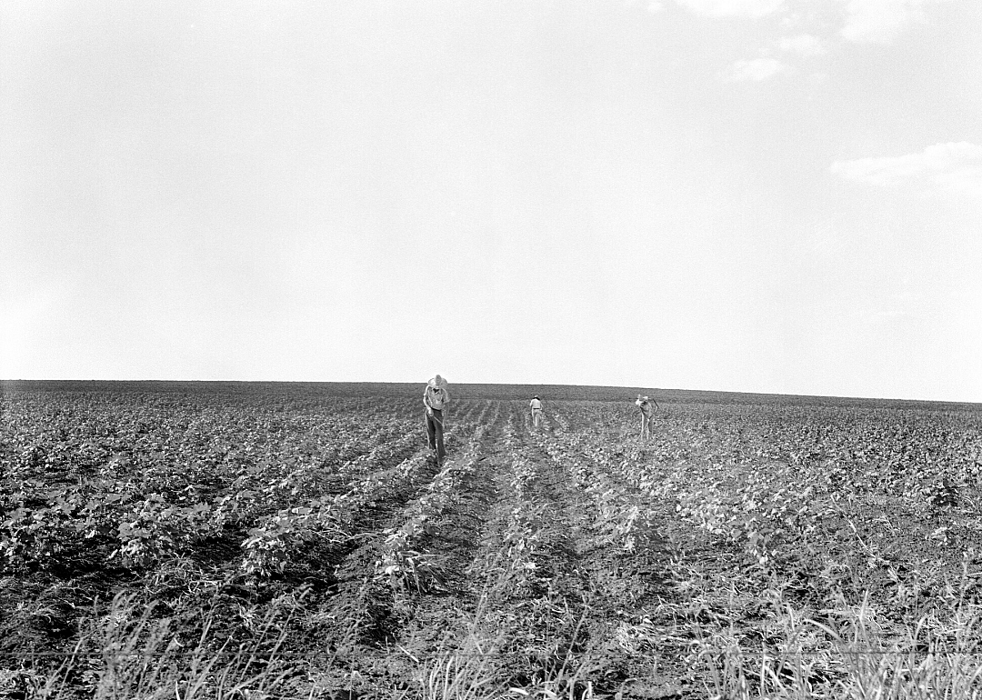 1920: Texas
