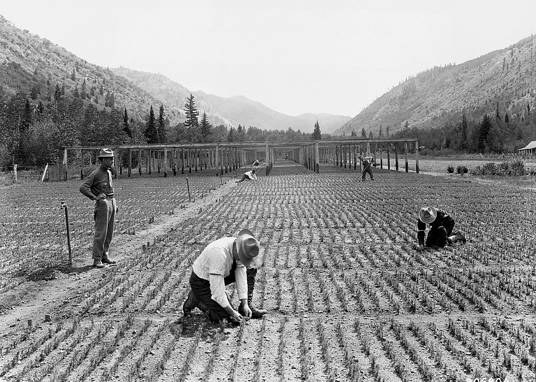 1920: Utah