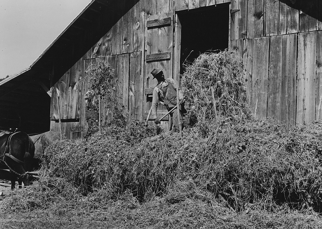 1920: Virginia
