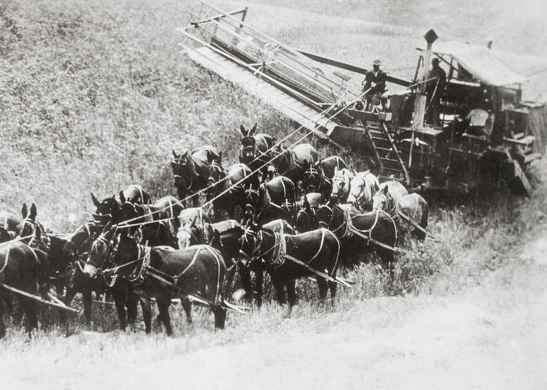 1920: Washington