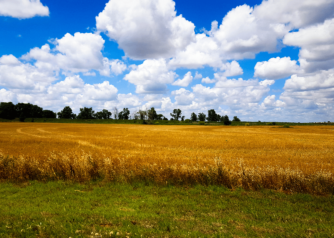 Oklahoma: Cimarron County