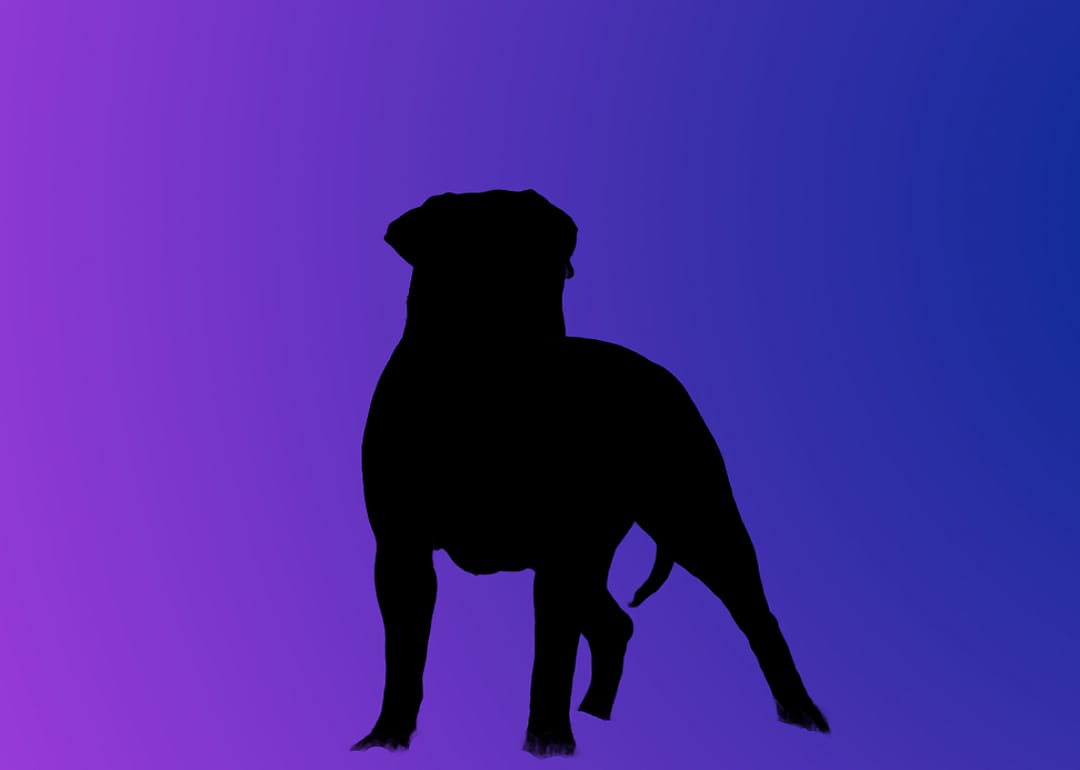A silhouette of a dog