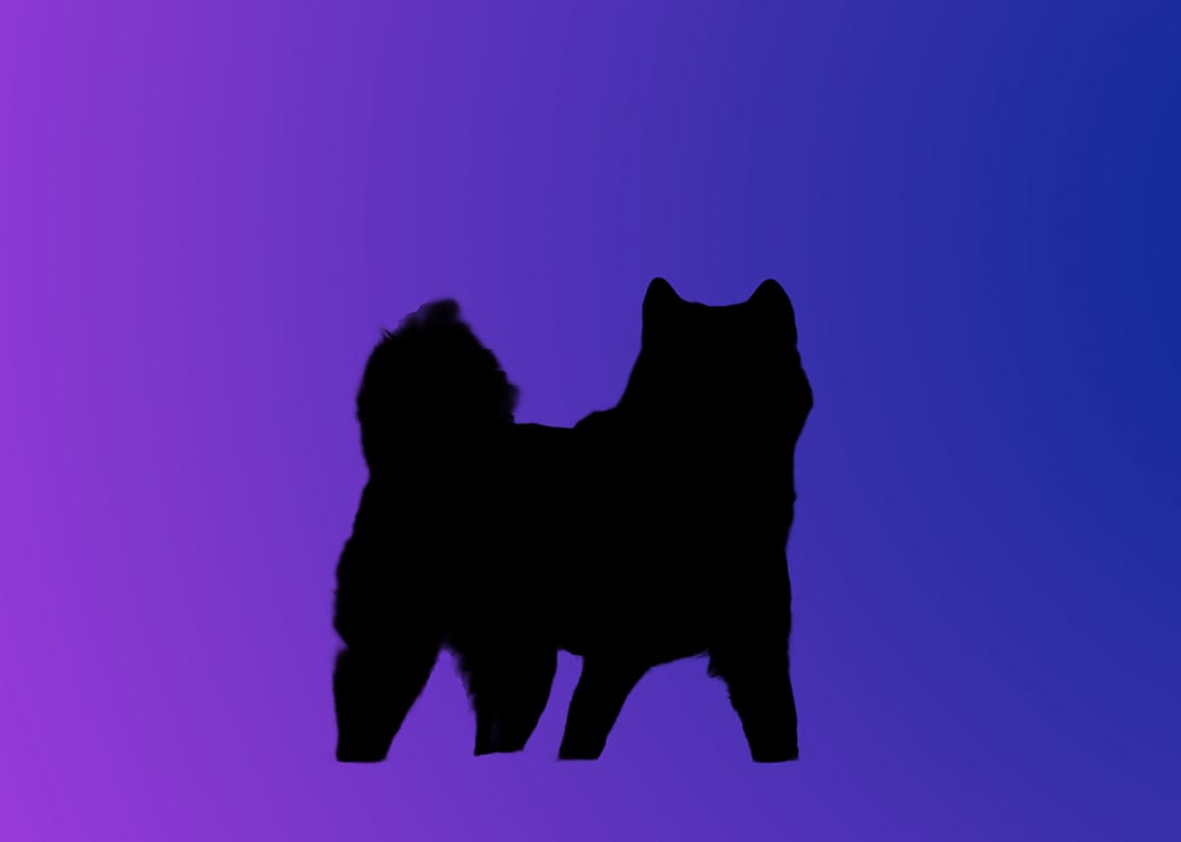 A silhouette of a dog