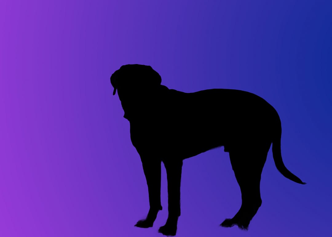 A silhouette of a dog