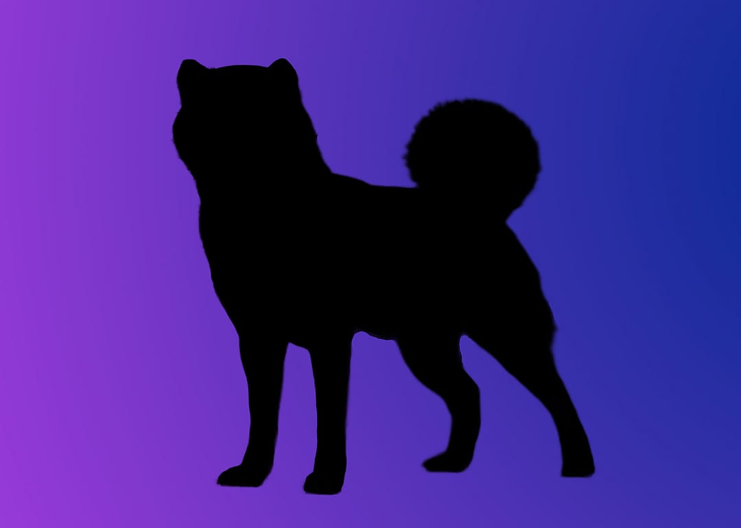 A silhouette of a dog
