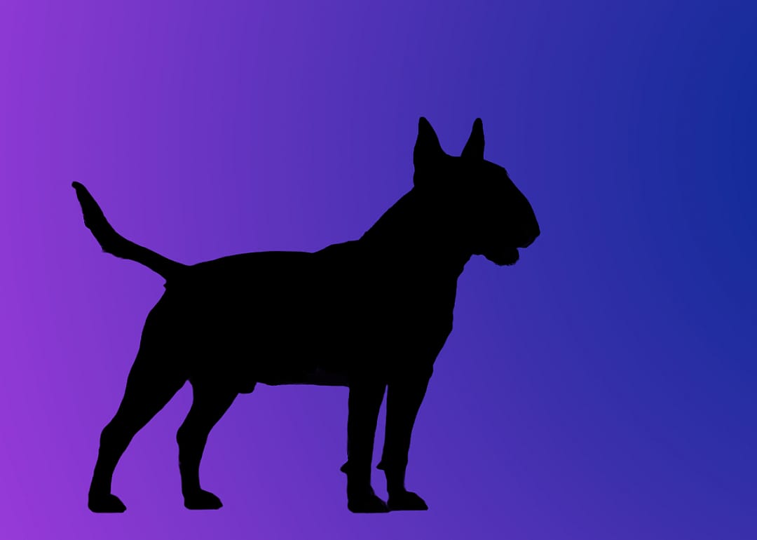 A silhouette of a dog