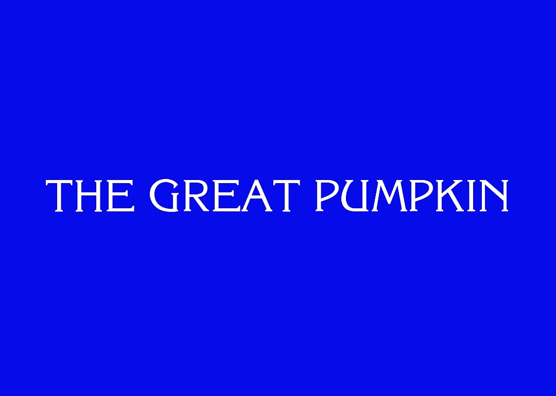 Answer #15