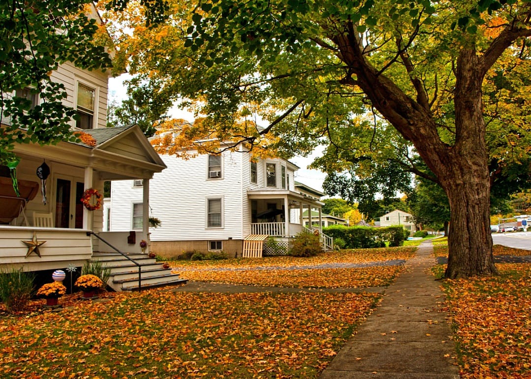 Homes in Fall leaves.