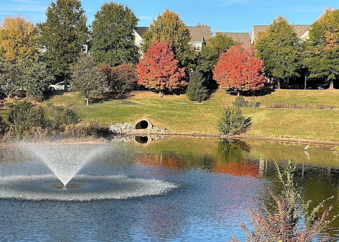 Fall foliage in Clarksburg.