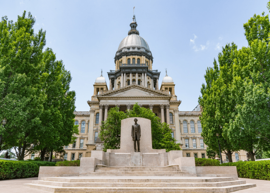 #21. Illinois