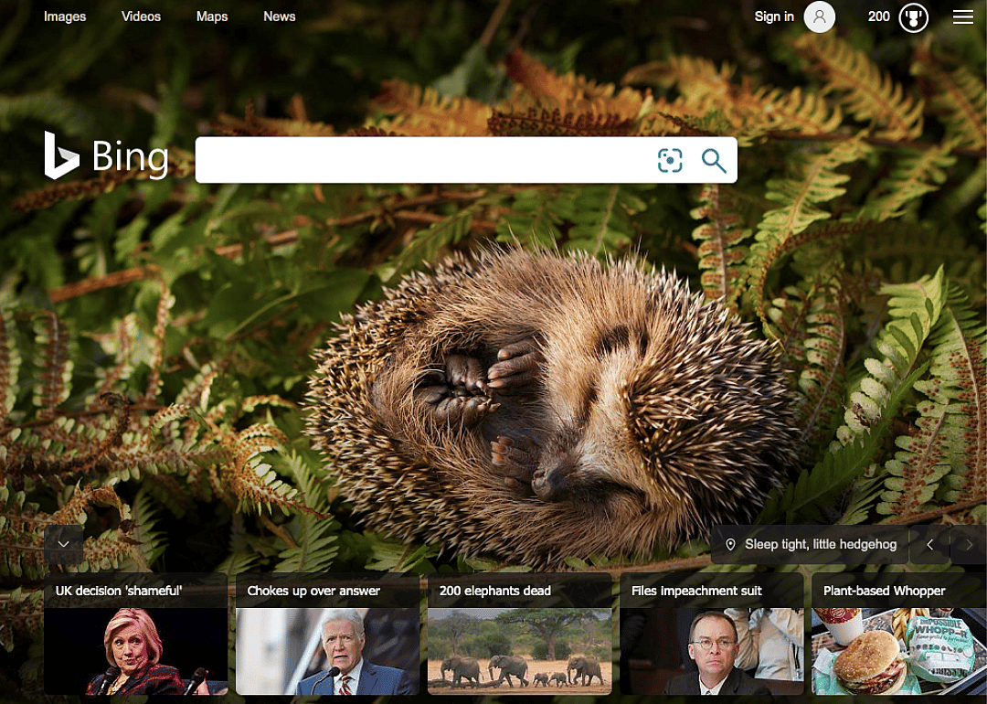 Bing.com (2019)