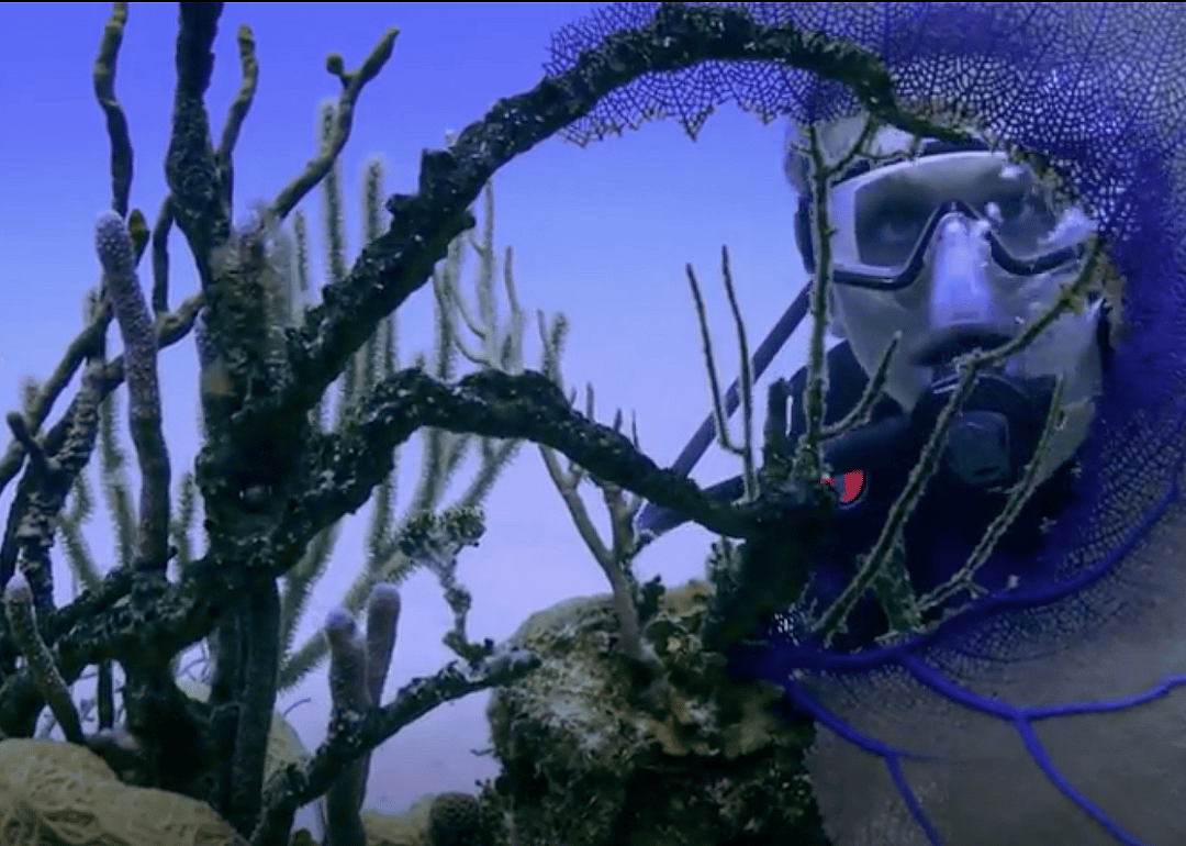 #88. Chasing Coral (2017)