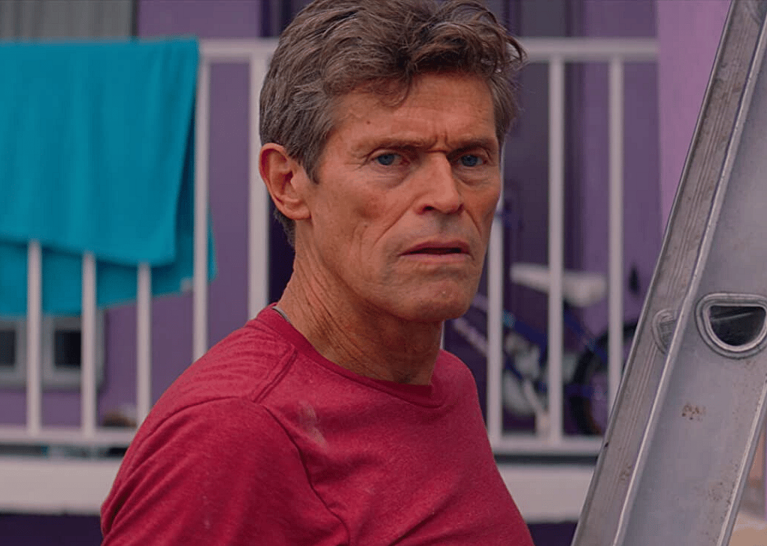 #21. The Florida Project (2017)