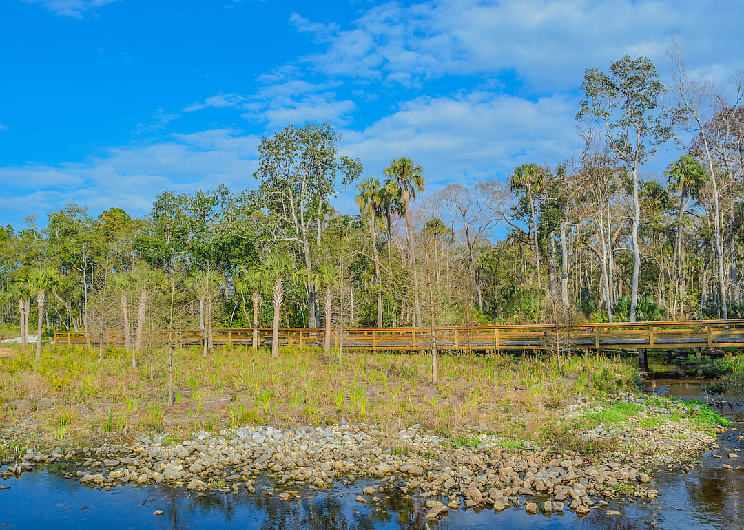 Stream flowing under walkway in Nocatee.