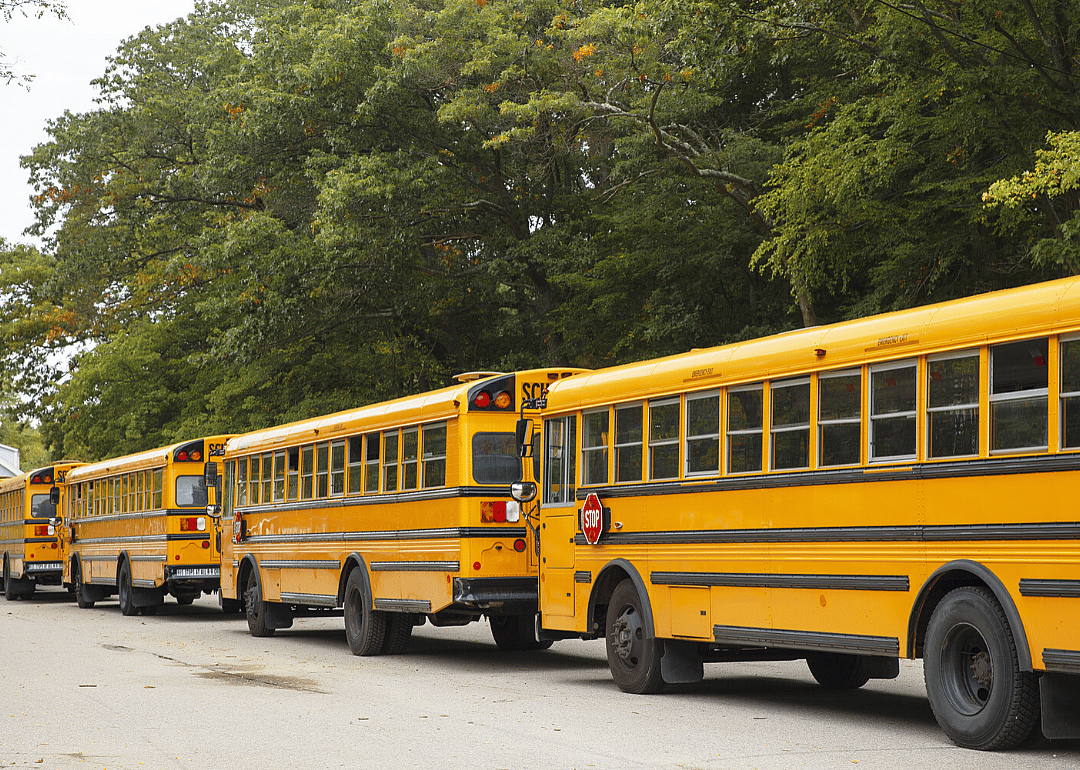 Education: School choice