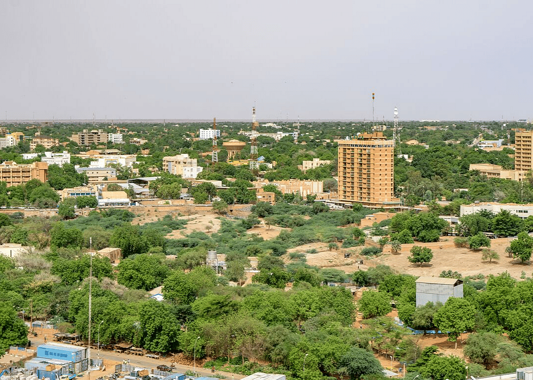 #2 biggest growth by 2030: Niger