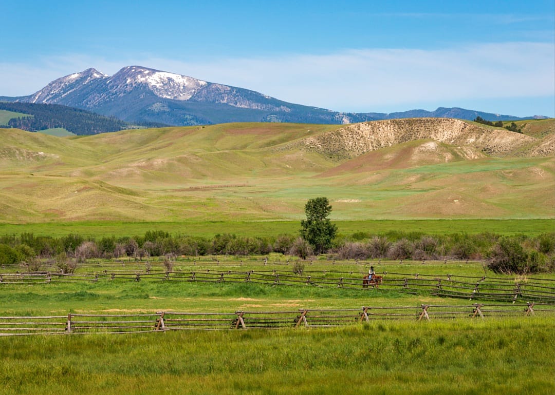 A person on horseback with mountains in the background.