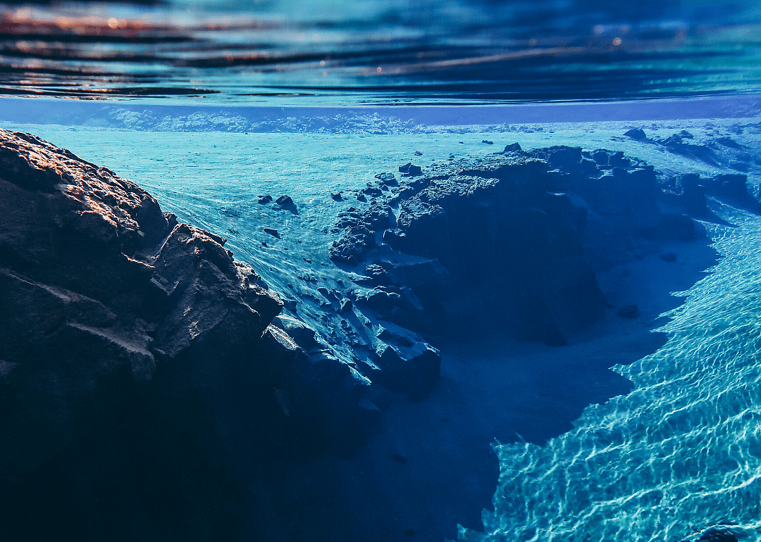 Continental drift