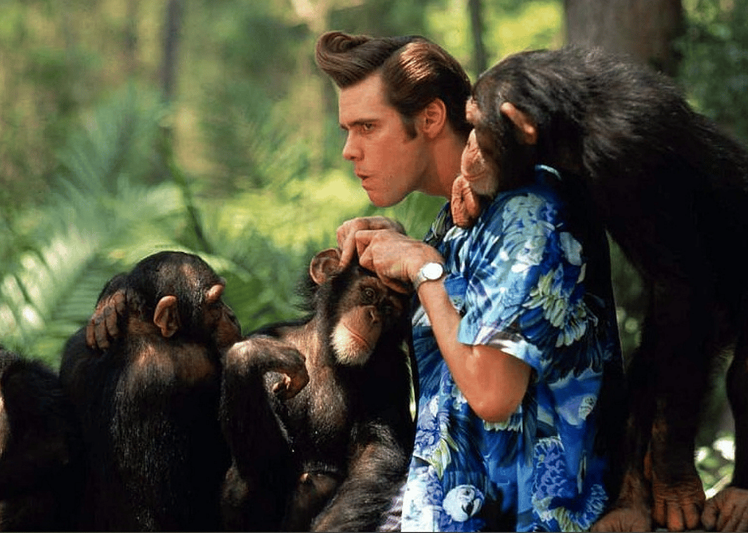#29. Ace Ventura: When Nature Calls (1995)