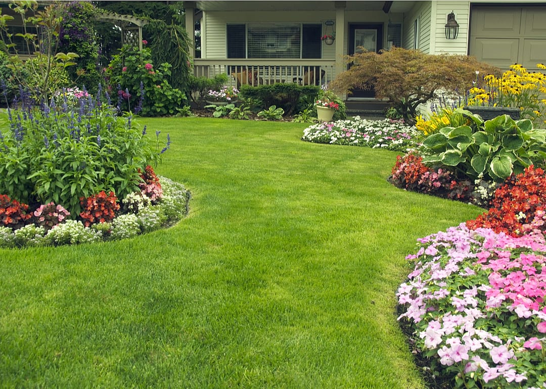 A beautifully landscaped residential yard full of blossoms