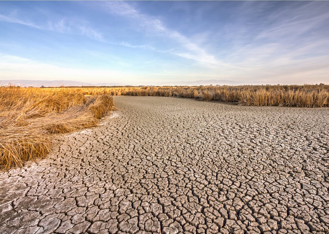 Drought