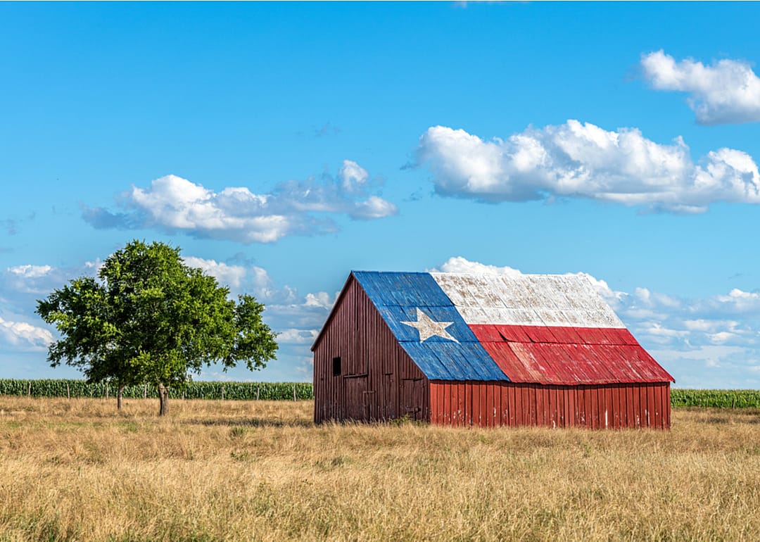 #7. Texas