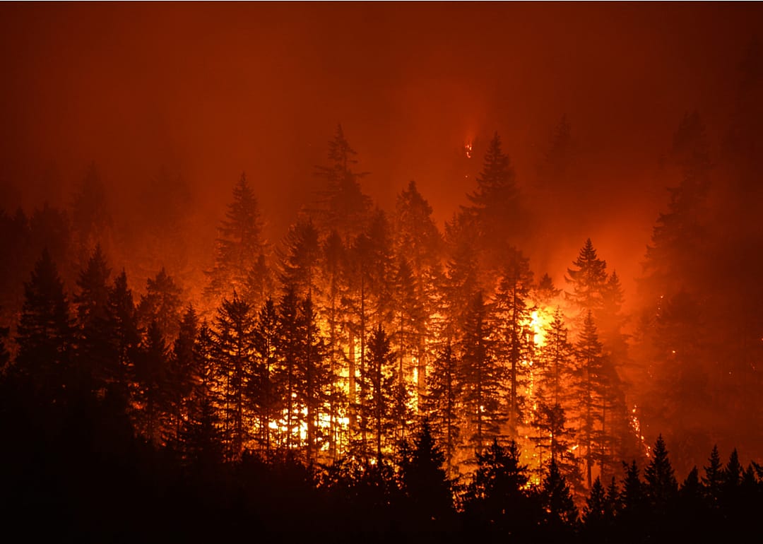 Wildfire