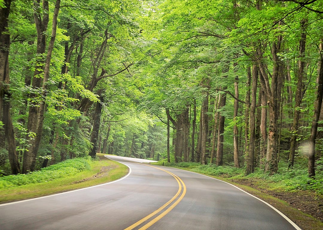 A road winding through Tennessee